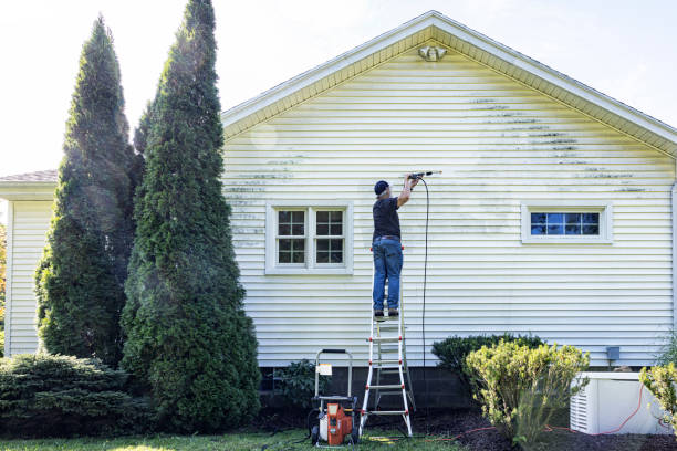 Best Soft Washing for Delicate Surfaces in Galva, KS